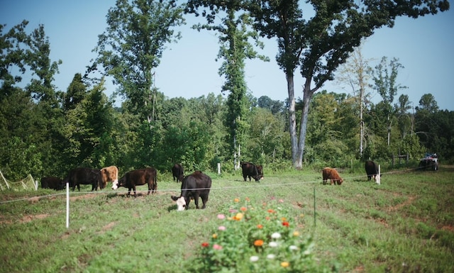 surrounding community with a rural view