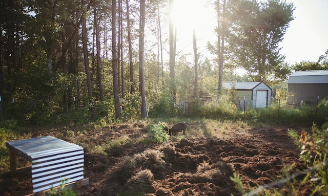 view of yard featuring a storage shed