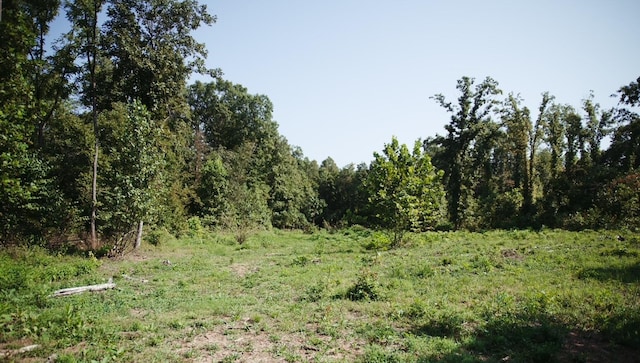 view of landscape