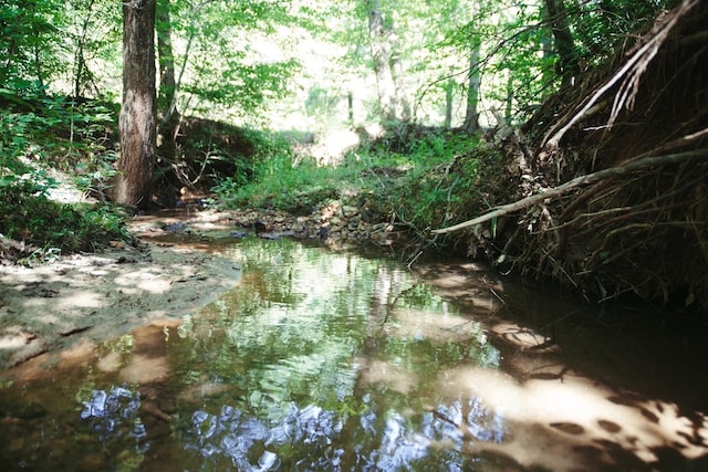 view of landscape with a water view