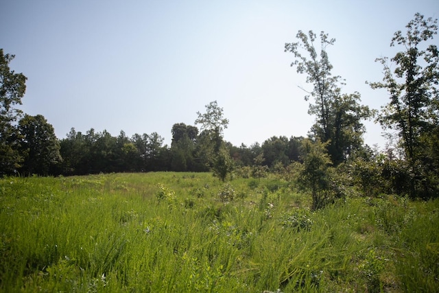 view of landscape