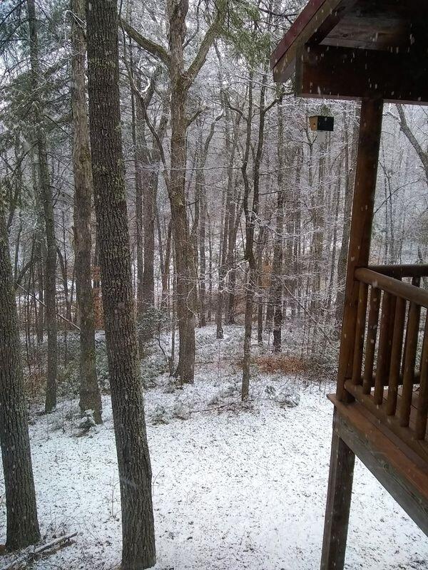 view of yard covered in snow