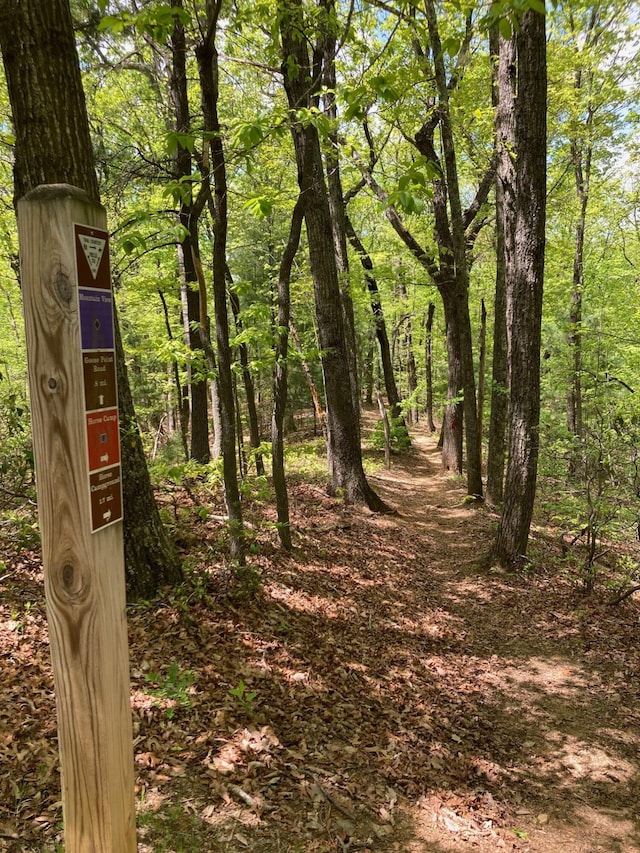 view of local wilderness