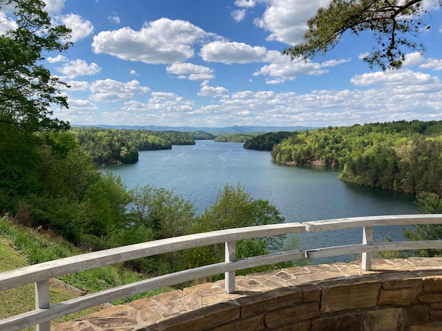 view of water feature