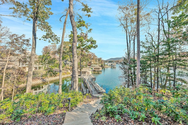 water view with a boat dock