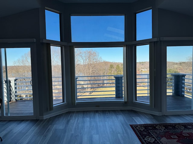 doorway to outside featuring wood finished floors and a wealth of natural light