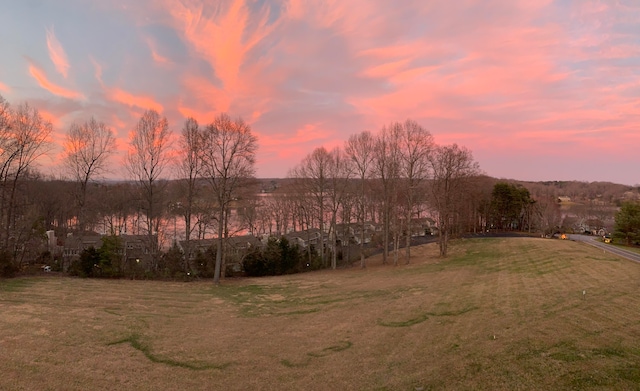 view of yard at dusk