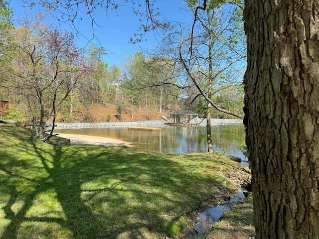 view of yard with a water view