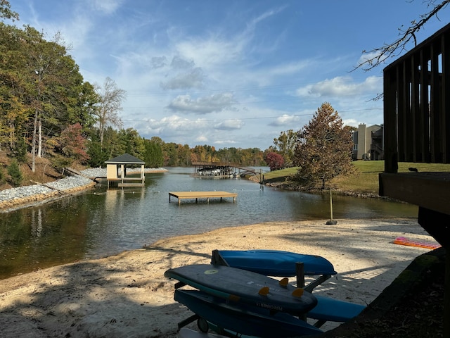 dock area with a water view