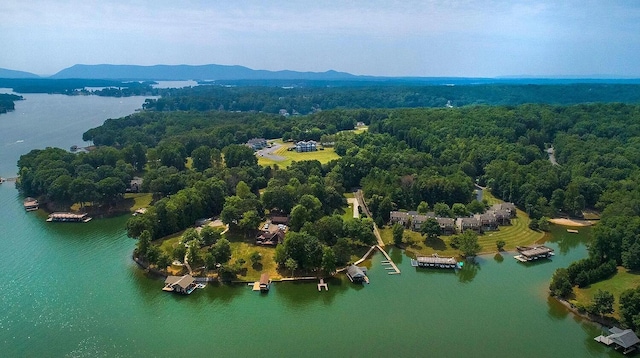 bird's eye view featuring a water and mountain view and a view of trees