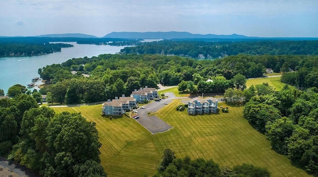 drone / aerial view featuring a wooded view and a water and mountain view