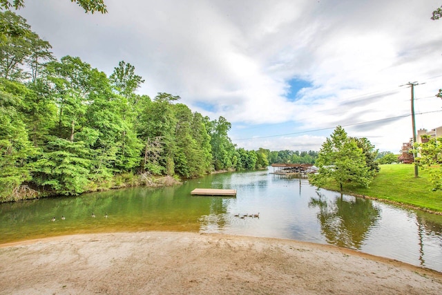 property view of water with a dock