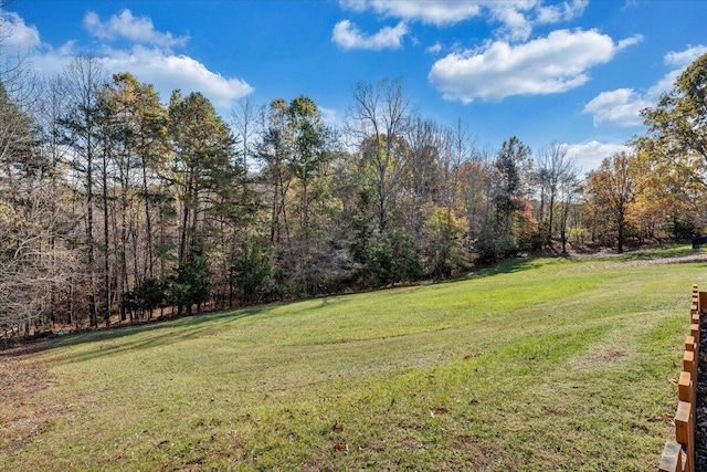 100 Surber Dr, Moneta, VA 24121 - view of grassy yard