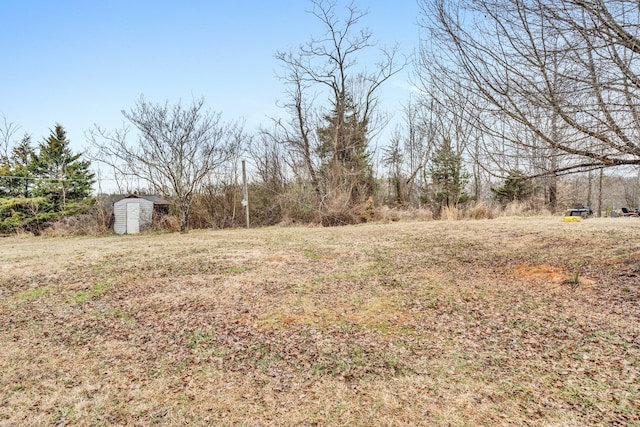 view of yard with a shed