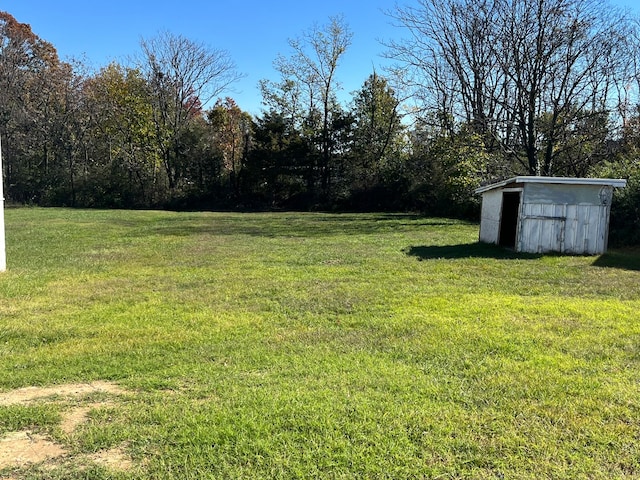 view of yard with a shed