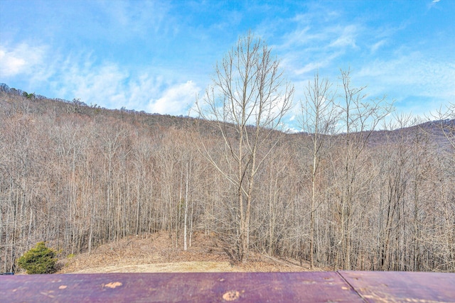 property view of mountains