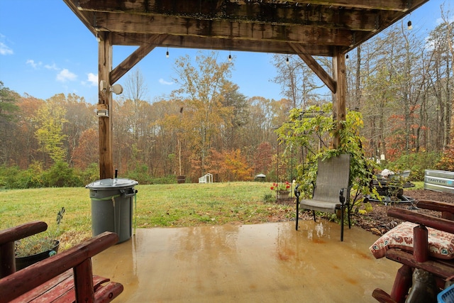 4348 Stewartsville Rd, Moneta, VA 24121 - view of patio