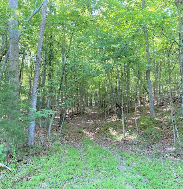 1310 Nuckolds Rd, Huddleston, VA 24104