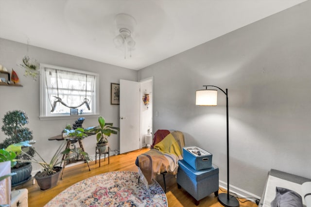 living area featuring ceiling fan and wood-type flooring