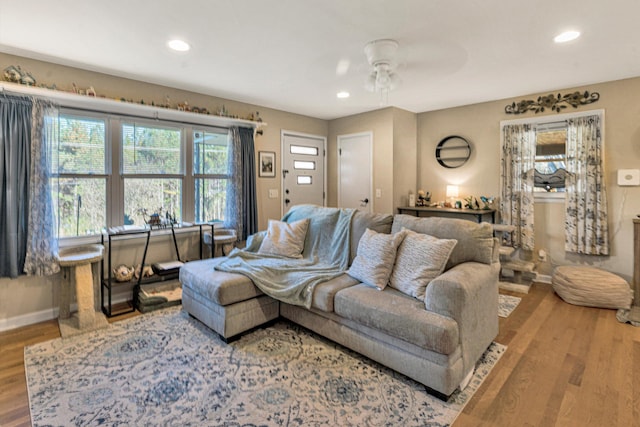 living room with ceiling fan and light hardwood / wood-style floors