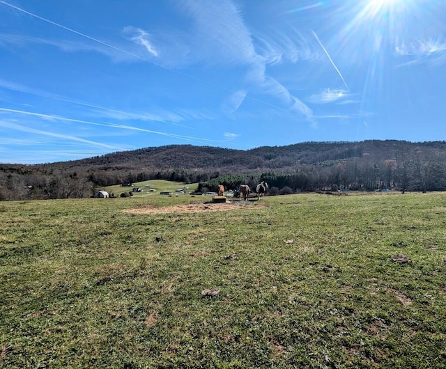 TBD Floyd Hwy S, Willis, VA 24380