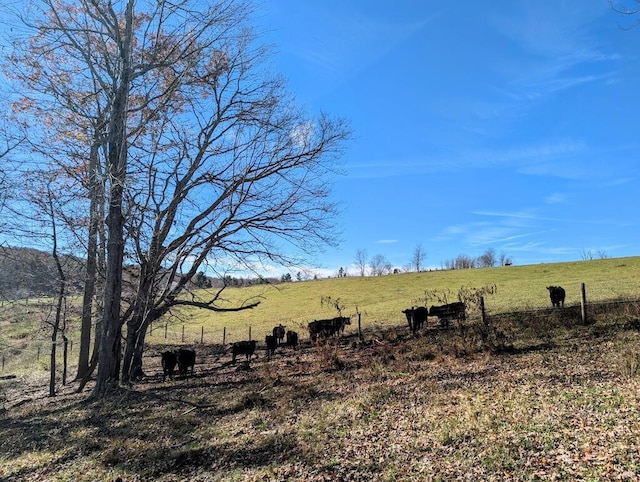 TBD Floyd Hwy S, Willis, VA 24380