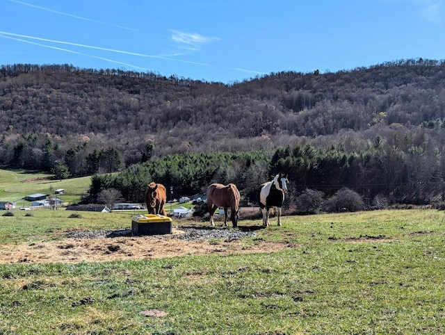 TBD Floyd Hwy S, Willis, VA 24380
