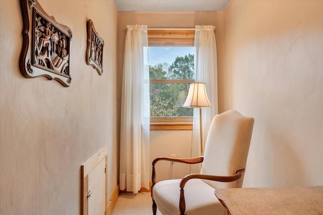 living area featuring light colored carpet