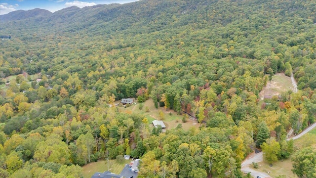 bird's eye view featuring a mountain view