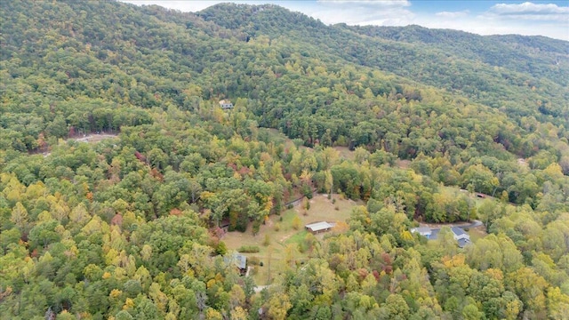 drone / aerial view featuring a mountain view