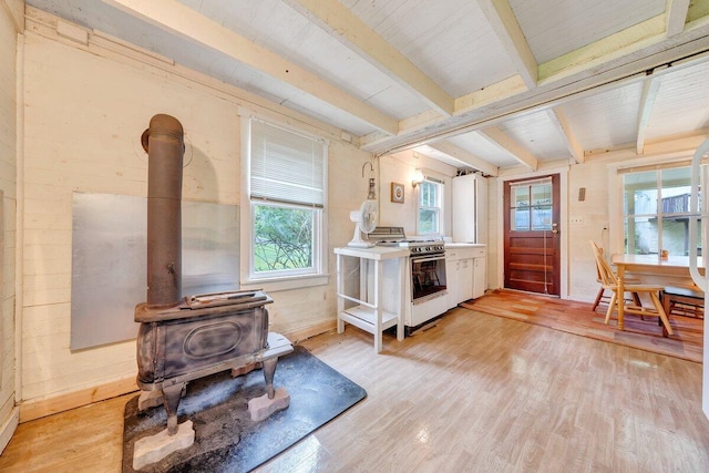 kitchen featuring electric range, a wood stove, and a healthy amount of sunlight