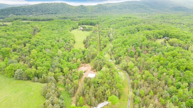 aerial view with a mountain view