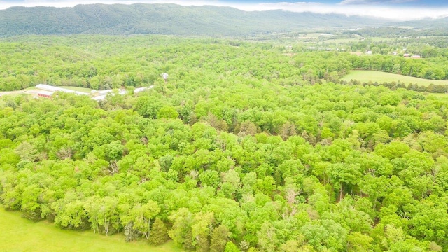 drone / aerial view with a mountain view