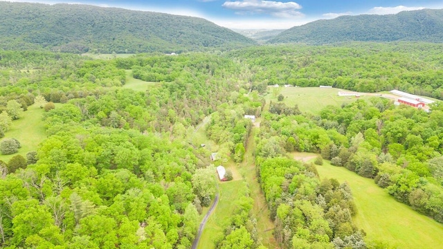 birds eye view of property featuring a mountain view