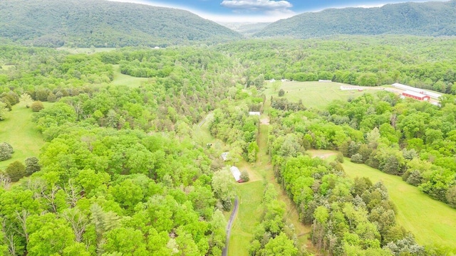 bird's eye view featuring a mountain view