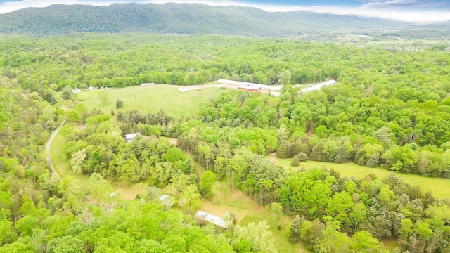 birds eye view of property featuring a mountain view