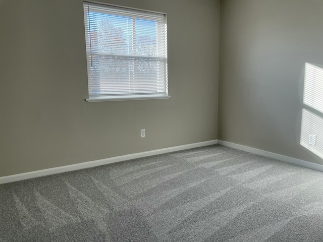 empty room featuring carpet flooring and a wealth of natural light