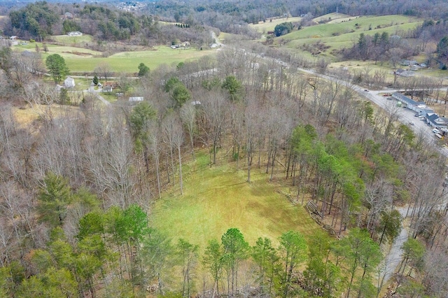 6427 Bent Mountain Rd, Roanoke VA, 24018 land for sale