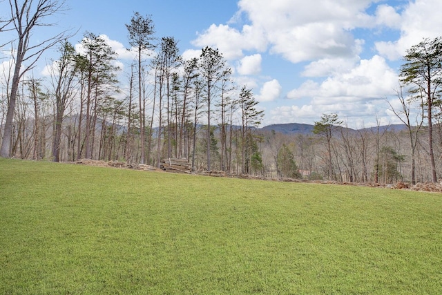 Listing photo 3 for 6427 Bent Mountain Rd, Roanoke VA 24018