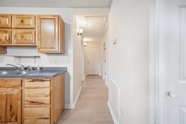 kitchen with light brown cabinets, light wood-type flooring, and sink