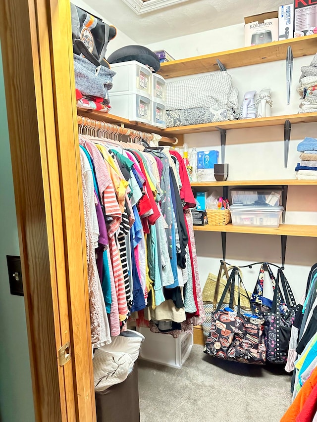 spacious closet featuring carpet