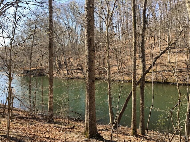 Listing photo 2 for LOT1 S Pointe Shore Dr, Moneta VA 24121