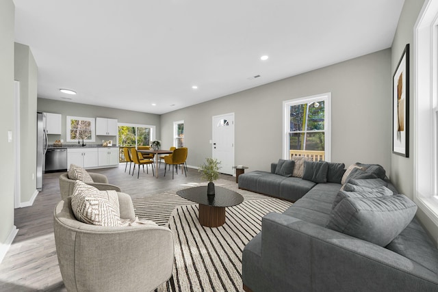 living room featuring light hardwood / wood-style floors and plenty of natural light