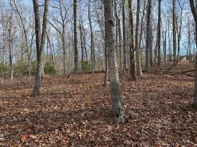 LOT48 Old Mill Dr, Hardy VA, 24101 land for sale