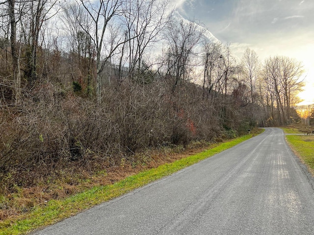 Listing photo 2 for LOT2A Wheats Valley Rd, Bedford VA 24523