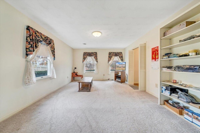 sitting room featuring light carpet