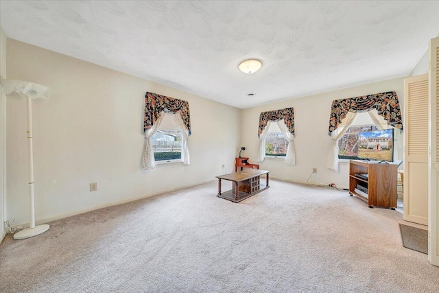 interior space with light colored carpet and a textured ceiling