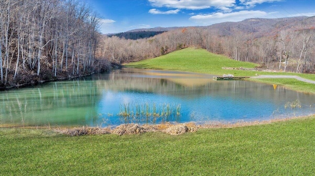 water view with a mountain view