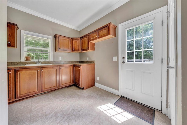 kitchen featuring sink, a healthy amount of sunlight, and ornamental molding