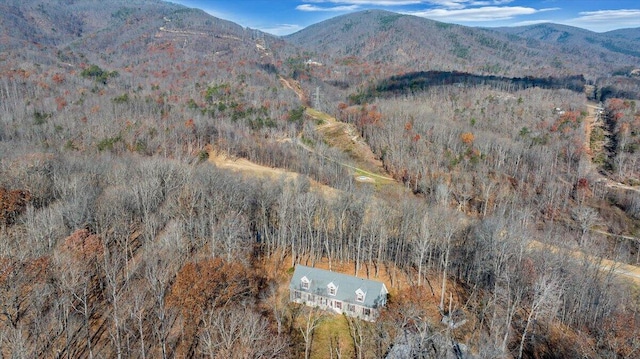 view of mountain feature